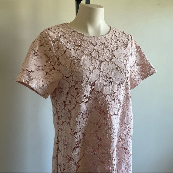BCBGMaxAzria Diane Lace Mini Dress Pastel Pink Oversized With Slip Size Medium - Picture 9 of 16